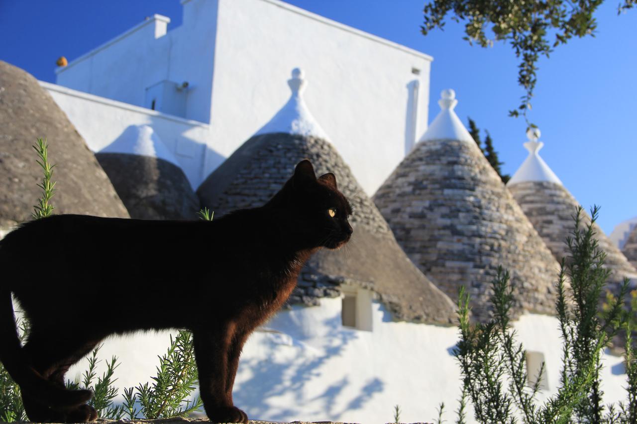 Masseria Trulli Sull'Aia Cisternino Exteriér fotografie