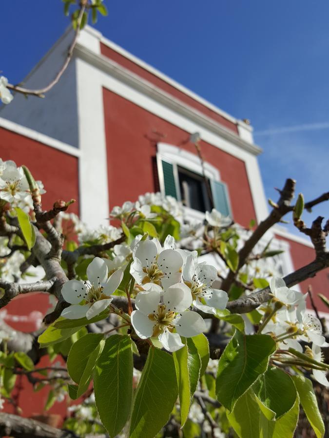 Masseria Trulli Sull'Aia Cisternino Exteriér fotografie